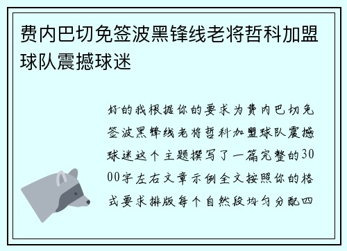 费内巴切免签波黑锋线老将哲科加盟球队震撼球迷