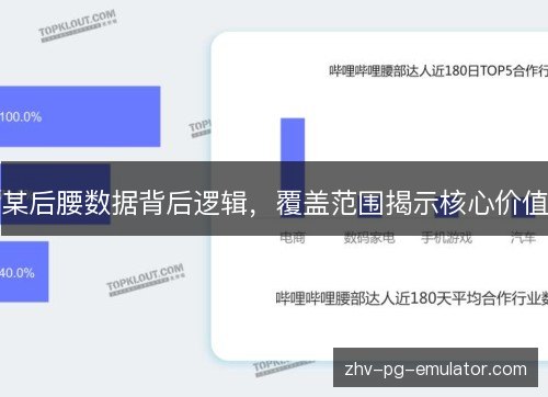 某后腰数据背后逻辑，覆盖范围揭示核心价值