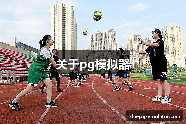 关于pg模拟器